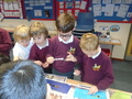DSC01510.JPG