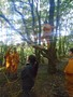 DSC00905.JPG