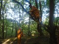 DSC00907.JPG