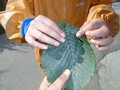 DSC00921.JPG
