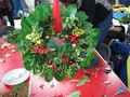 IMG_2108.JPG