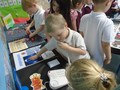DSC04175.JPG
