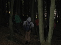 IMG_8660.JPG