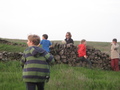 IMG_8666.JPG