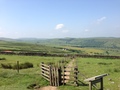 2013-07-06 10.26.14.jpg