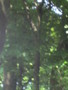 IMG_1872.JPG