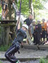 DSCN1869.JPG