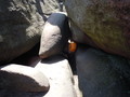 DSCN1957.JPG