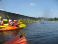IMG_8729.JPG