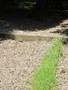 IMG_1865.JPG
