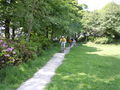 DSCN1985.JPG
