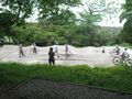 IMG_8800.JPG