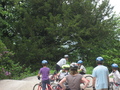 IMG_8804.JPG