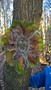 WP_20161125_14_14_42_Pro.jpg