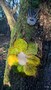 WP_20161125_14_15_52_Pro.jpg