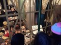 IMG_0567.JPG