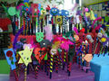 dscn8572.jpg