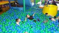 DSC05648.JPG