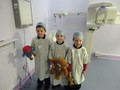 DSC05329.JPG