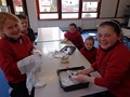 DSC00253.JPG