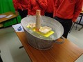 DSC00201.JPG
