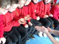 DSC00456.JPG