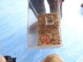 DSC00488.JPG