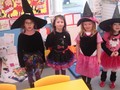 DSC00190.JPG