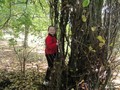 DSC03921.JPG