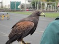 DSC04012.JPG