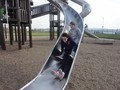 DSC03173_Small.JPG