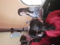 DSC08861_Small.JPG