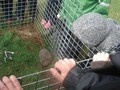 DSC08767_Small.JPG
