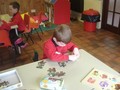 DSC08781_Small.JPG