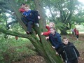 15_march_2011_018.jpg
