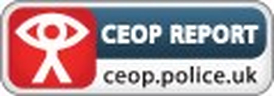 Report to CEOP