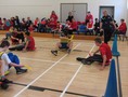 IMG_8002a.jpg