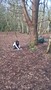 WP_20170203_11_59_31_Pro.jpg