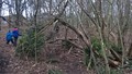 WP_20170203_14_23_44_Pro.jpg