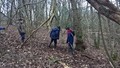 WP_20170203_14_24_10_Pro.jpg