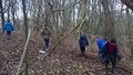 WP_20170203_14_24_15_Pro.jpg