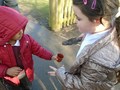 DSC04610.JPG