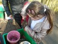 DSC04611.JPG
