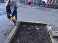 DSC04616.JPG