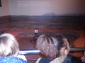 DSC02856.JPG