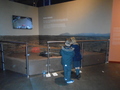 DSC02860.JPG
