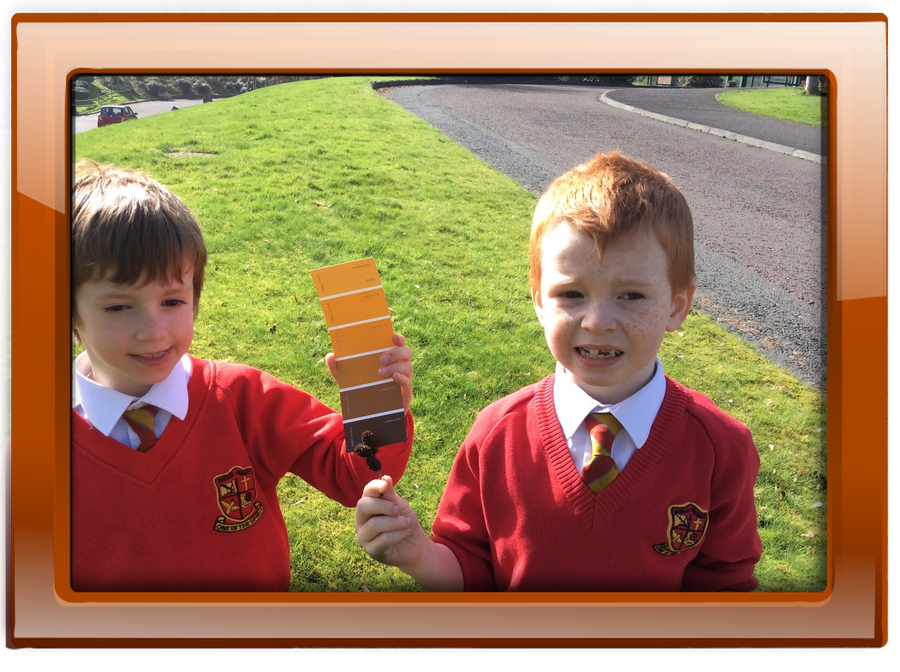 Finn and Lucas have found a seed which is the same colour as the brown on their paint card.  Good matching boys!