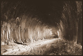 Gildersome_Tunnel5-1.jpg