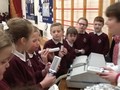 p5 stem1.JPG