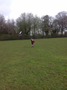 kite35.JPG